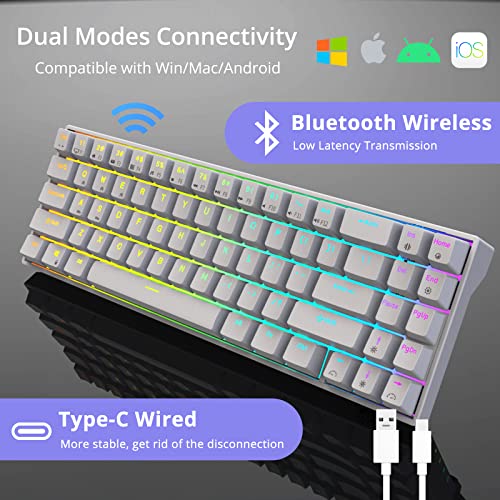 Image of RK ROYAL KLUDGE RK71 Gaming Keyboard, Triple Mode 2.4Ghz /BT5.1 /USB-C Wireless Keyboard, 71 Keys Mechanical Keyboard with RGB Backlit Keys Programmable Macro Functionality, Blue Switch White