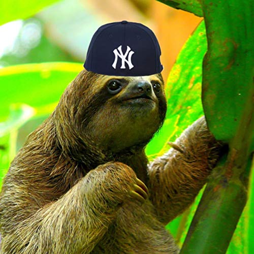 『SLOTH BOYS』のカバーアート