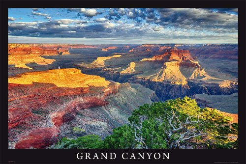 'Empire Interactive Poster Vue du Grand Canyon + Accessoires Multicolore