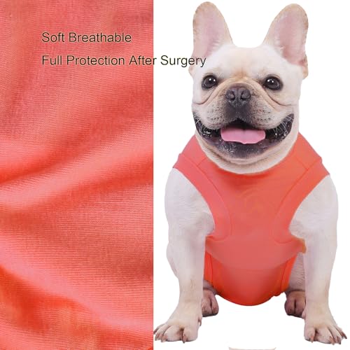 Image of Dog Surgery Recovery Suit - After Spay, Abdominal Wounds Post Surgical Recovery, Anti Licking Breathable Dog Onesies for Small, Medium & Large Pet, Alternative Bandages Cone E-Collar