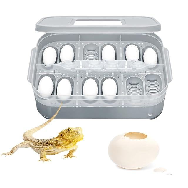 LIDCOM Caja de Incubadora de Huevos con 12 Compartimentos - Bandeja para Incubación de Reptiles y Cría