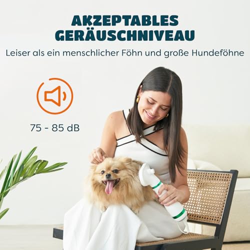 KUUBIA Hundeföhn | 2-in-1 Haartrockner mit Selbstreinigender Bürste | für kleine und mittelgroße Hunde & Katzen | 300W Blower Hundefön | Schmaler Griff, relativ leise, einstellbare Temperatur