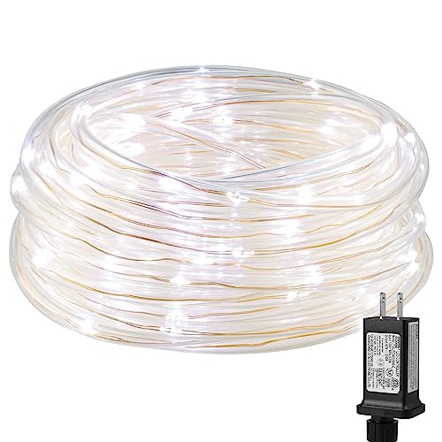 LE LED Rope Light with Timer, Low Voltage, 8 Mode, Waterproof, Daylight White, 33ft 100 LED, Indoor Outdoor Plug in Light Rope and String for Deck, Patio, Bedroom, Boat, Landscape Lighting and More