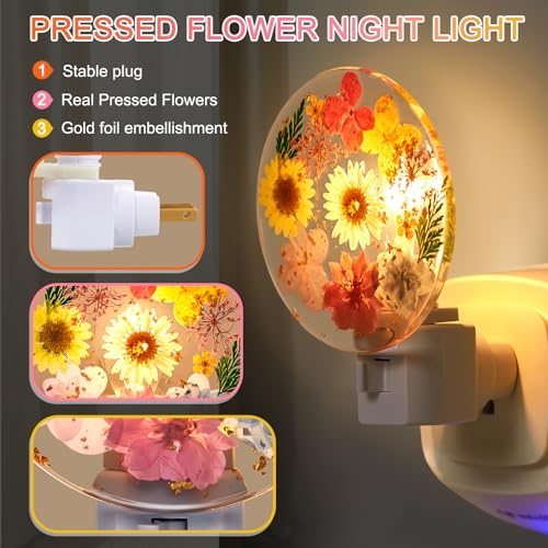 Image of Glooglitter Pressed Flower Night Light Plug in-Handmade Dried Floral Wall Night Light, Soft Glow Decorative Nightlight for Hallway Bedroom Nursery Bathroom, Vintage Botanical(Fresh Color,Flower)