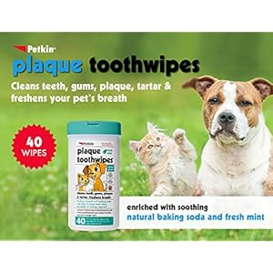 Petkin Cat and Dog Dental Wipes, 80 Wipes (Fresh Mint) - Natural Formula Cleans Teeth, Gums & Freshens Breath - for Daily Use - Convenient Dog Dental Care - 2 Packs of 40 Wipes (80 Wipes Total) Petkin Cat and Dog Dental Wipes 80 Wipes Fresh Mint Natural Formula Cleans Teeth Gums Freshens Breath for Daily Use Convenient Dog Dental Care 2 Packs of 40 Wipes 80 Wipes Total