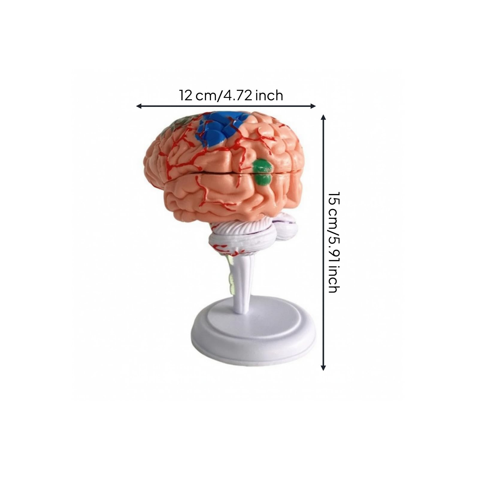 Rompecabezas en 3D Didáctico
