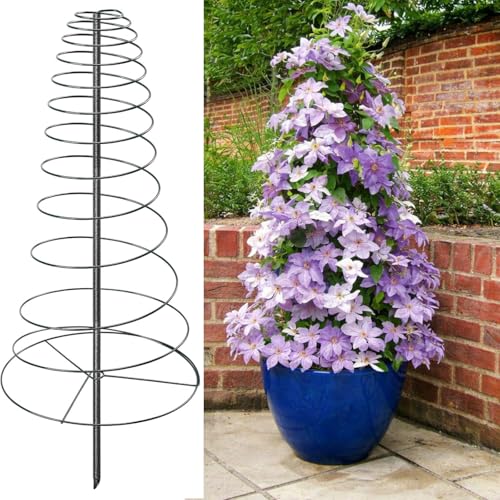 Spiral Frame Trellis for Climbing Plants Outdoor Indoor...