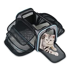 Opetdo Transportín Gato Perro Extensible，Bolsa de Transporte para Mascotas Plegable Transpirable，con Colchón Suave y Hebilla de Seguridad para Coche Avión Viaje Tren-Gris