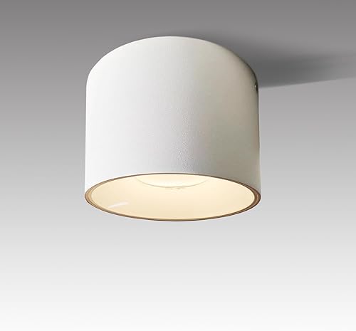 Foco de techo LED regulable de aluminio blanco de 4.72 pulgadas, luz cilíndrica para interiores, moderno, minimalista, enfoque para cilindro,
