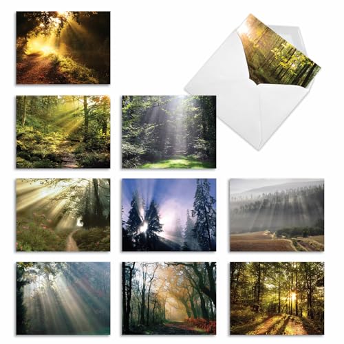 The Best Card Company - Box of 10 All Occasion Cards Blank (4 x 5.12 Inch) - Scenic Landscape Cards Assorted - Shining Through M1735BN