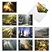 Beautiful Assorted Landscape Note Cards (Box of 10) All Occasion Blank Greeting Card w/Envelopes -"Shining Through" Sun Photograph Notecards for Holidays, Thank You, Congrats (4 x 5.12 in) M1735BN