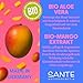 SANTE Naturkosmetik Intense Hydration Shampoo - 950 ml - mit Aloe Vera & Mango-Extrakt - Haarshampoo für trockenes Haar - sulfatfrei & vegan - dermatologisch getestet