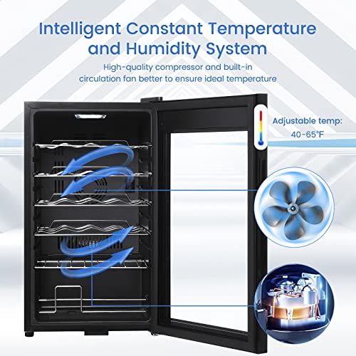 Wine Cooler, 24 Bottles Beverage Refrigerator Cooler, Freestanding Wine Cellar with Glass Door for Aging Red/White/Champagne/Sparkling Wine for Bar/Home/Condo,Adjust Temperature