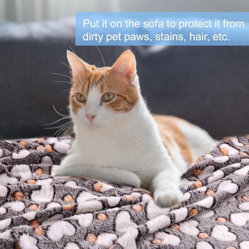 Neerow 3 Stück Hundedecke, 60 x 40 cm Katzendecke Sofa, Weich Fleece Haustier Decke Flauschig, Kuscheldecke Hunde Waschbar für Hunde, Katzen, Sofas, Autos, Betten, Transportbox