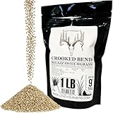 Crooked Bend BigAzz Switchgrass Seed, Bulk RC Big Rock Variety, Extra Tall Drought-Tolerant Native Perennial Grass for Deer Habitat, Bedding Areas, Green Screens & Food Plots (1 Pound)