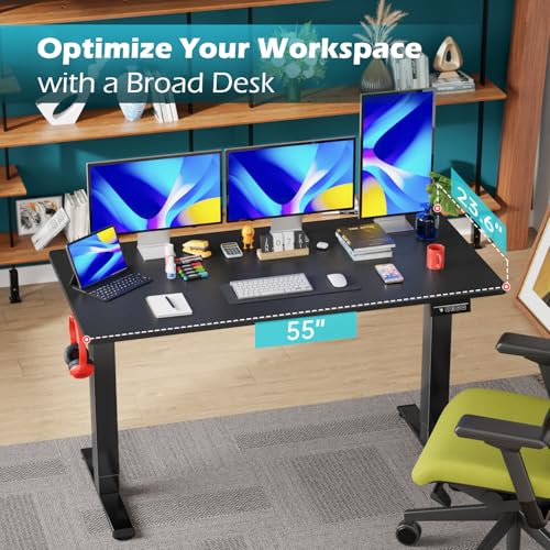 Image of PayLessHere 55 Inch Electric Standing Desk Computer Desk with Large Space and Headphone Holder Office Desk with Electric Lifting and 2 Memory Function for Office Meeting Room,Black