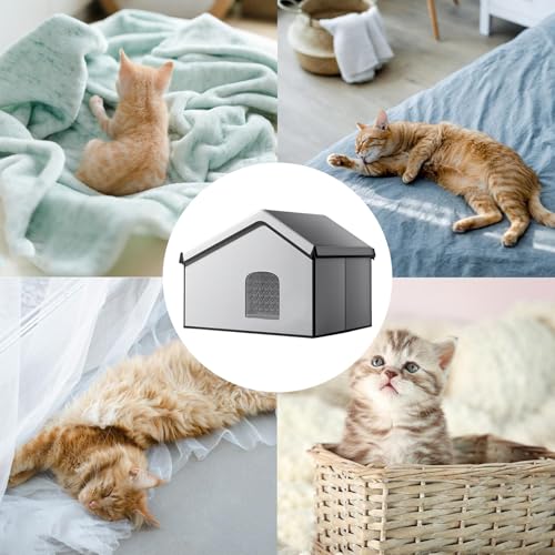 Maison de refroidissement pour chat intérieur et extérieur avec boîte à glace