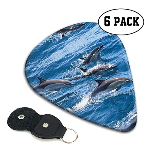 Dolphins In The Sea Lot de 6 médiators pour guitare acoustique, guitare électrique, basse, ukulélé – fins, moyens et… - Les Beatles, Paul McCartney, John Lennon, RIngo Starr, George Harrison Dolphins In The Sea Lot de 6 médiators pour guitare acoustique, guitare électrique, basse, ukulélé – fins, moyens et… – Image 3