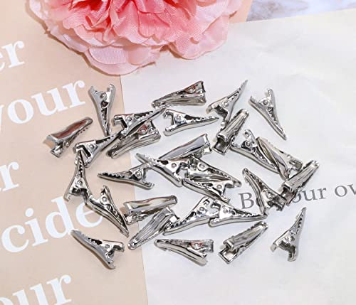 Shapenty Metal Hair Clips Alligator Teeth Prongs Hair Clips Hairpins Clamps Holders For Women Girl Hair Bow Accessories Making Hair Salon Diy Arts Crafts Projects, 30Pcs (20Mm, Silver) #TOP2