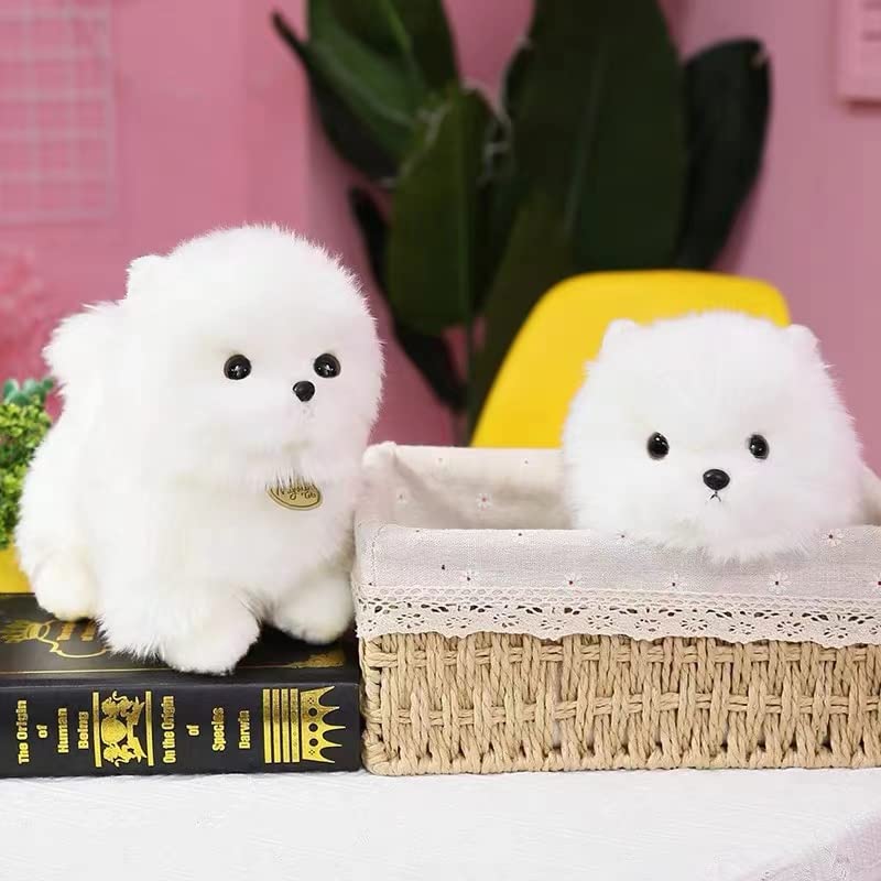 Amazon.co.jp: ぬいぐるみ イヌ 人形 マルチーズ犬 (マルチーズ23cm