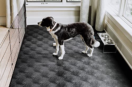 G-Floor for Pets Levant Texture Protective Vinyl Floor Covering for Hardwood, Concrete, and Low-Pile Carpet - 7.5ft x 17ft Midnight Black - Thumbnail 3