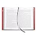 Frankenstein (Deluxe Edition) (Deluxe Illustrated Classics)