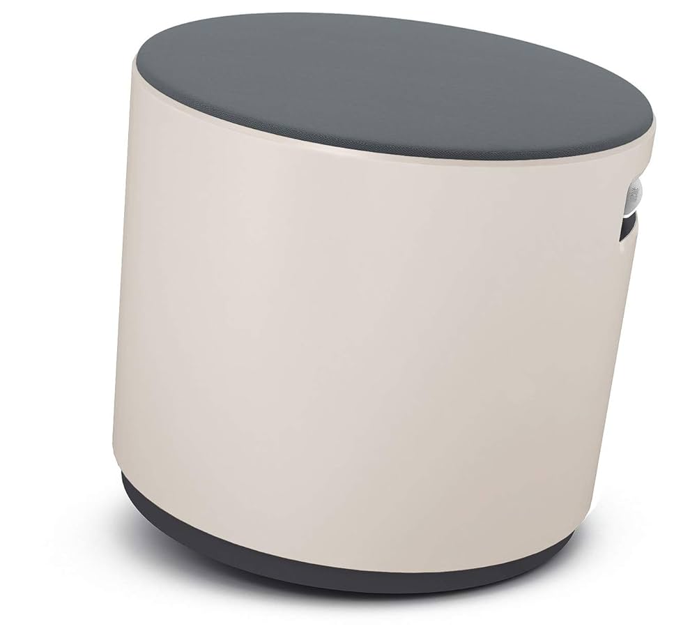 Amazon.com: Steelcase Turnstone TSBUOY Seating, Grey