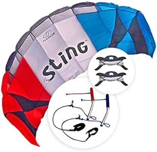 FLEXIFOIL Power Kite | Sting Stunt Kite | Adult and Older Kids 2.6m Quad Lines Trainer Parafoil | Best 4 Line Beach Summer Sport Trick Kites with Handles | Outside Kiting Activity | Easy to Fly 2.4m²