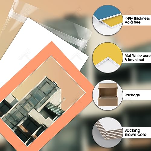 Golden State Art, Pack of 50 Mix Pre-Cut 5x7 Picture Mat for 4x6 Photo with White Core Bevel Cut Mattes Sets. Includes 50 High Premier Acid Free Bevel Cut Matts & 50 Backing Board & 50 Clear Bags