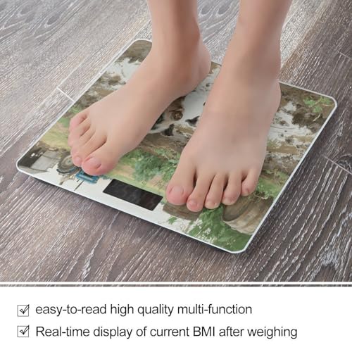 Báscula Digital de Baño Farm Animal Pig con Pantalla LED miniatura 5