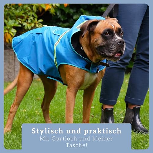 Bella & Balu Hunderegenmantel - Wasserdichter Hundemantel mit Kapuze und Reflektoren für trockene, sichere Gassigänge, den Hundespielplatz und den Urlaub mit Hund (S - Blau)