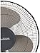 HOLMES Oscillating Wall-Mountable Fan, 16 Inch (HMF1611A-UM),Black