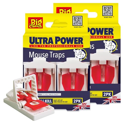 The Big Cheese Ready-Baited Mouse Trap Multi Pack