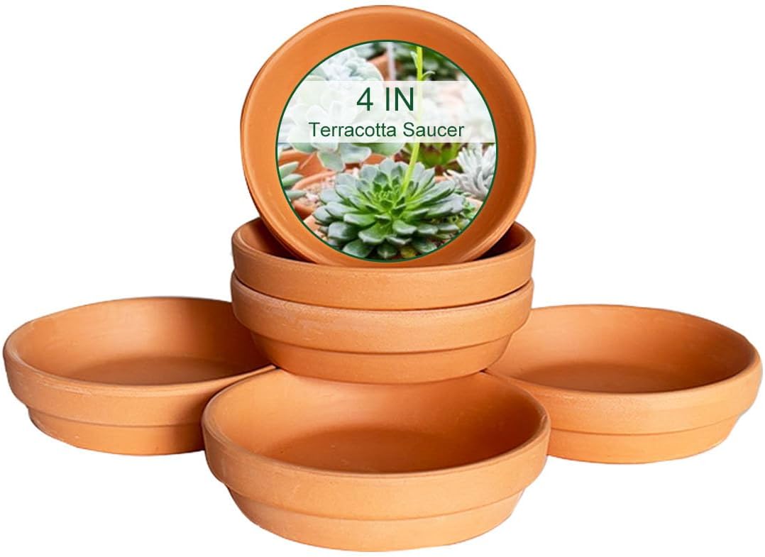 5.5 Inch Terracotta Plant Saucer - 6 Pcs Small Terra Cotta Saucer for Indoor & Outdoor Plants, Plant Drip Trays Perfect for 4 Inch 4.5 Inch Flower Pots