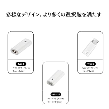 未使用に近い　2024年6月購入品　Apple Pencil USB-C 未使用に近い 2024年6月購入品 Apple Pencil USB-C Apple Pencil（