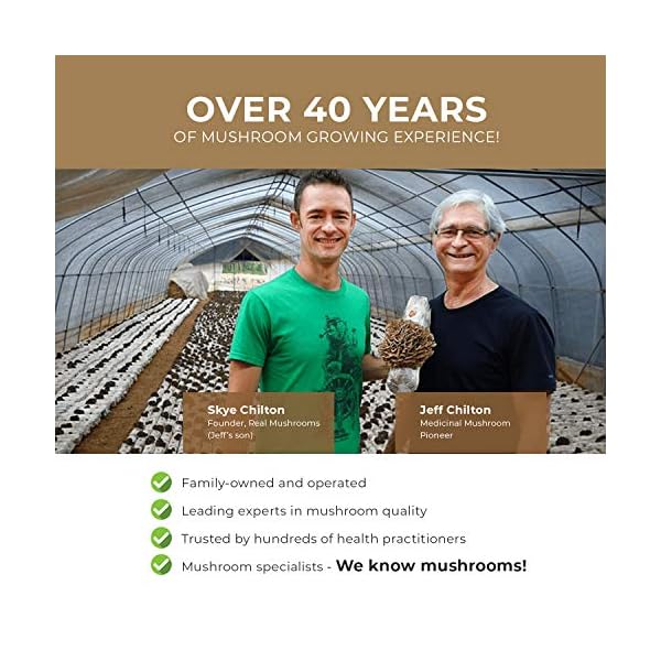 Lions Mane Mushroom Cognition Capsules (120 Capsules) Lions Mane Mushroom Powder Extract Capsules | Brain Supplement, Brain Vitamins, Focus Supplement