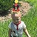 orangedolly Party hat| Second Birthday Outfit Boy Party Hat Cake Smash Outfit | | Party Hat | Cake Smash Cake Photoshoot Photoprop (Second Birthday Hat, Elastic Strap)