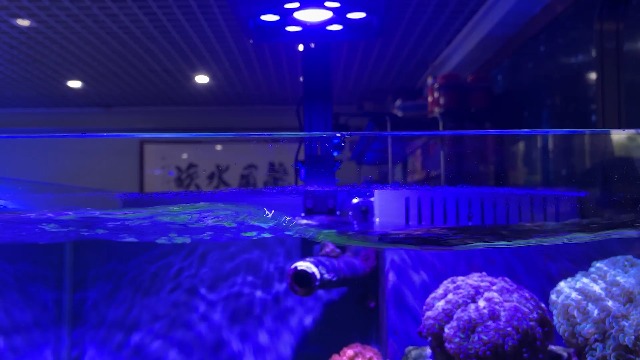 Image of Aquarium Light-60 Watts Reef Light High Penetration Wide Coverage Sunrise Sunset Moonlight Saltwater Lights for Coral with Master Slave Group Control & Timer & Screen