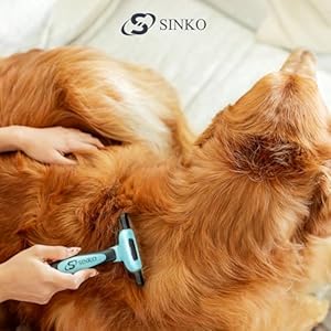   Sinko-Deshedding-Dog-Brush-Professional-Dog-Deshedding-Brush-Dog-Brush-for-Shedding-Pet-Deshedding-Tool-Cat-Deshedding-Brush-Fur-Deshedding-Brush-Pet-Hair-Remover-for-Cats-and-Dogs-Blue