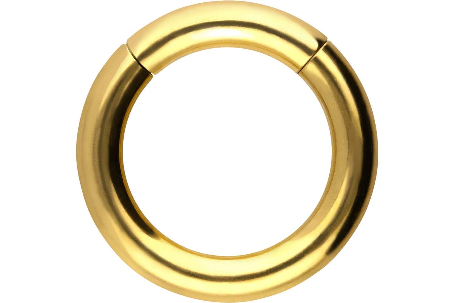 PIERCINGLINE Anillo segmento Clicker de acero quirúrgico – Piercing en oro, plata, rosa, negro o azul – para nariz, tabique, oreja, hélice o tragus — view 56