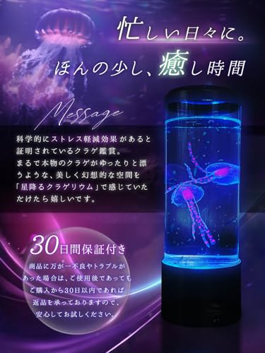 ARTUS8 星降るクラゲリウム ARTUS8 の商品画像 7