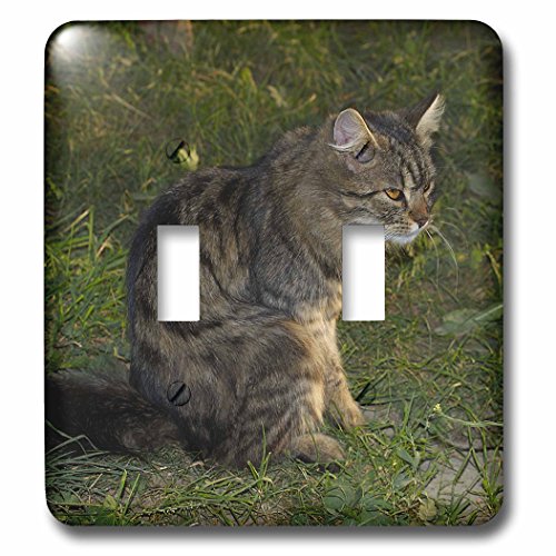 Interrupteur double chat assis pour décorer une chambre d'enfant