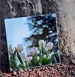 happygo Wall Mirror Self Adhesive Mirrors High Clear Mirrors Anti shatter wall mounted mirror sticker Self Adhesive Mirror Tiles (30 x 30cm),Non Glass High Definition Flexible Frameless,Removable - Image 3