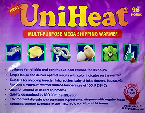 Rhapis Excelsa. Var. Koban, ‘The Puffy Leaf Japanese Lady Palm’ #TOP4