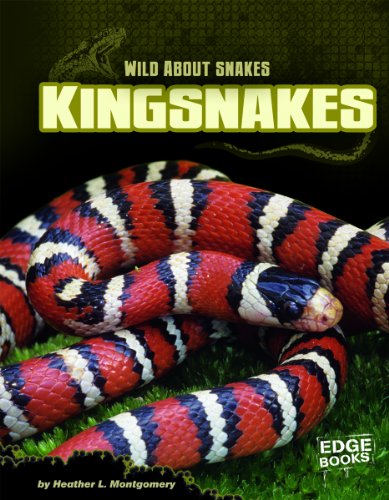 Used Book in Good Condition Kingsnakes