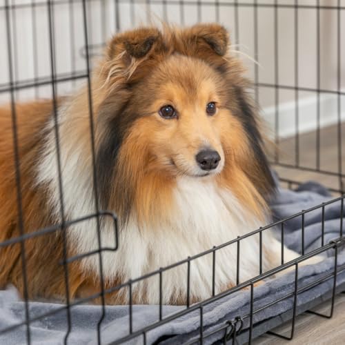TRIXIE Hundebox Home schwarz – M–L: 93 × 69 × 62 cm – faltbarer Hundekäfig mit 2 Türen & sicheren Verschlüssen, verzinkte Transportbox mit stabiler Bodenwanne für Zuhause & unterwegs – 39303