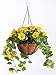 Fully Assembled Petunia Hanging Basket by Oakridge OutdoorTM