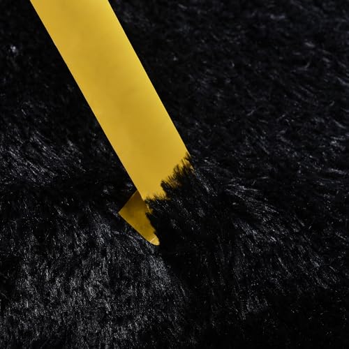 Small Black Area Rug, 2x3 Rug for Bedroom Shaggy Throw Rugs for Dorm Rug, Soft Shag Carpet for Kids Room, Plush Comfy Fluffy Bedside Rug for Home Decor Aesthetic