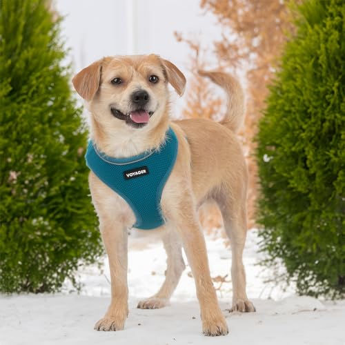Image of Voyager Aerolite Over The Head Dog Harness, No Pull Breathable Air Mesh Vest, Quick Dry with Reflective Stitching, Adjustable Escape Resistant Harness for Small Medium Large Dogs - Turquoise, X-Large