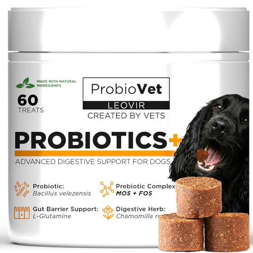 ProbioVet+ gegen Juckreiz & Pfotenlecken - Probiotika Hunde - Kautabletten mit Bacillus Velezensis & L-Glutamin - Darmflora & Immunsystem Hilfe - Anti-Juckreiz 60 Stücke